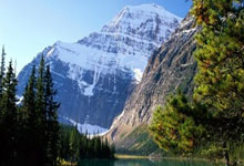 开云体育-浙江队争冠战胜出森林狼，布伦森成为关键先生