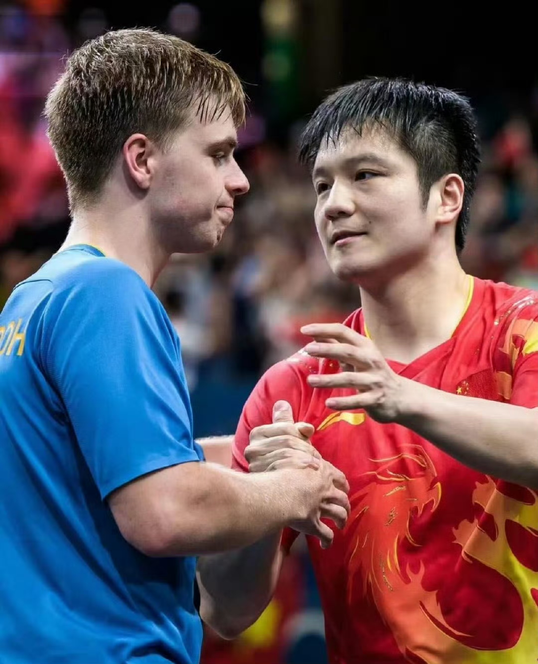 德国队力克瑞典队，樊振东扛起全队