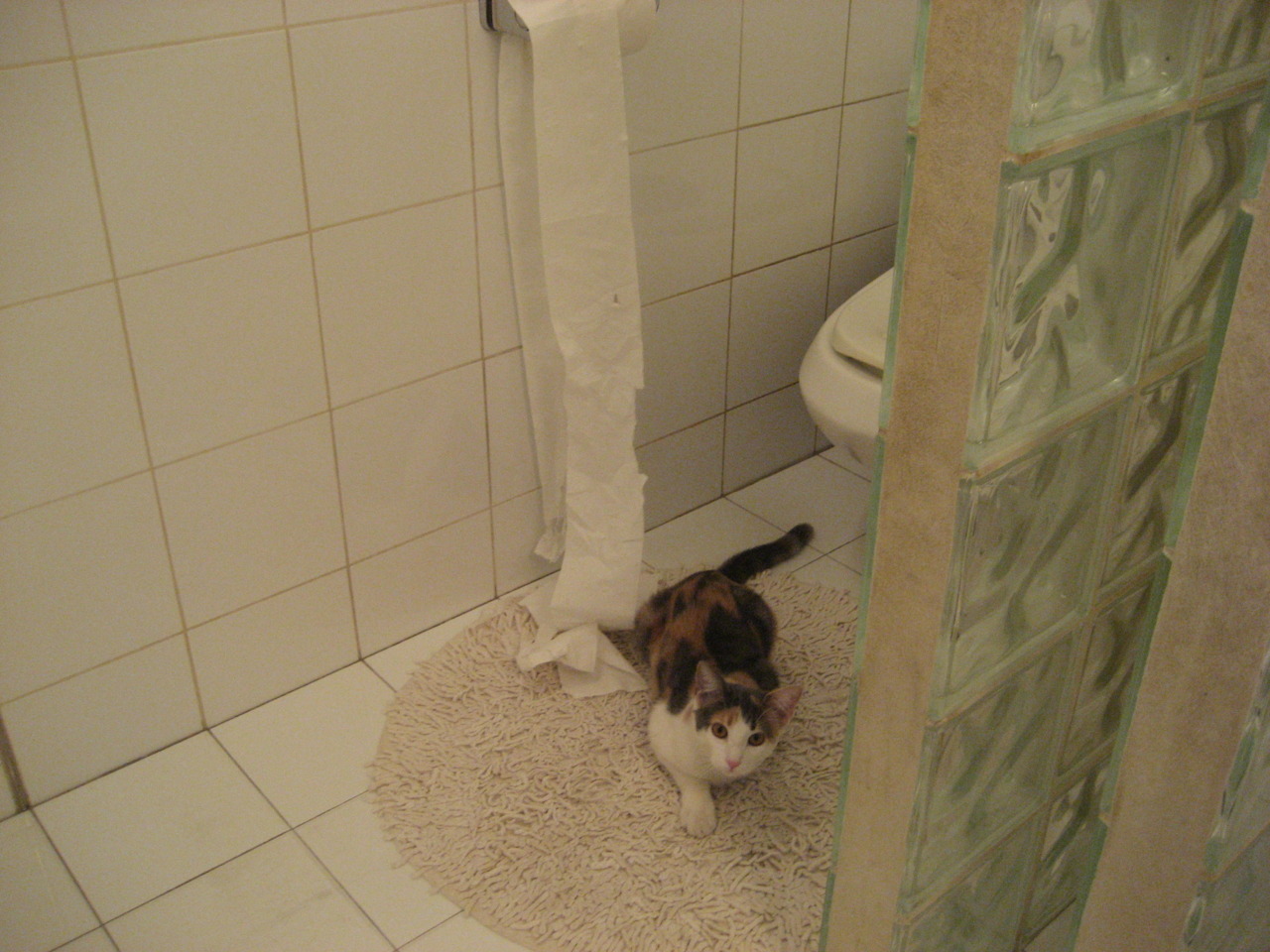 哈弗茨技惊四座,中几热身赛成德国球星个人秀场