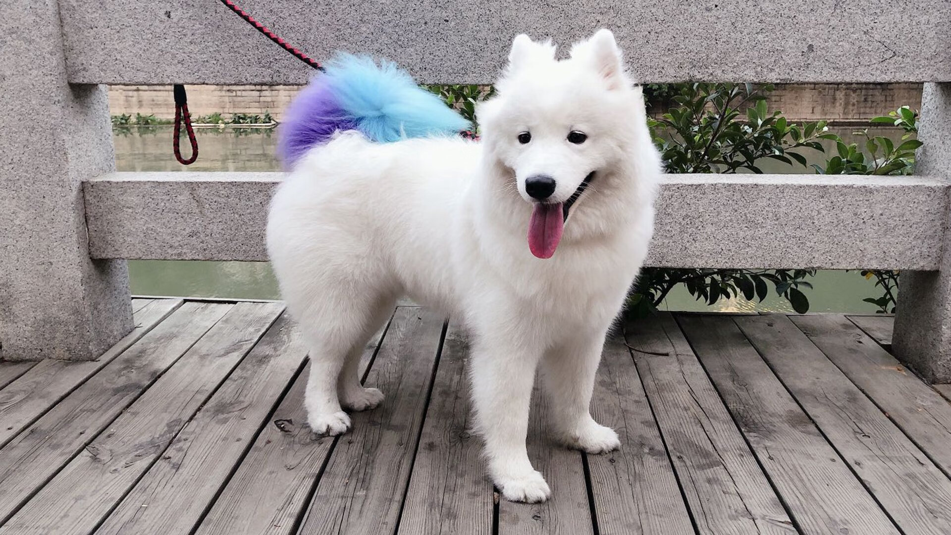 开云体育官网-当西部狂想曲闯入东部决赛，快船力克火箭的错位时空之战