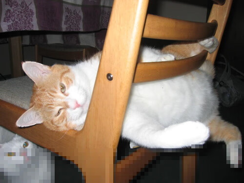 北欧风暴与伊比利亚坚盾，足球战术中的个人英雄与集体交响