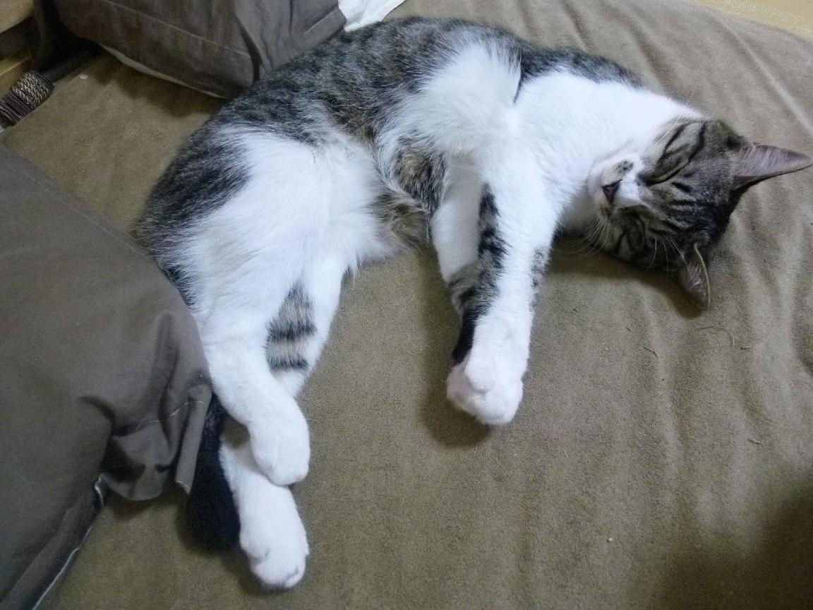 开云体育app-背城借一，恩比德39+17血染战袍，国王加时鏖战力克马刺