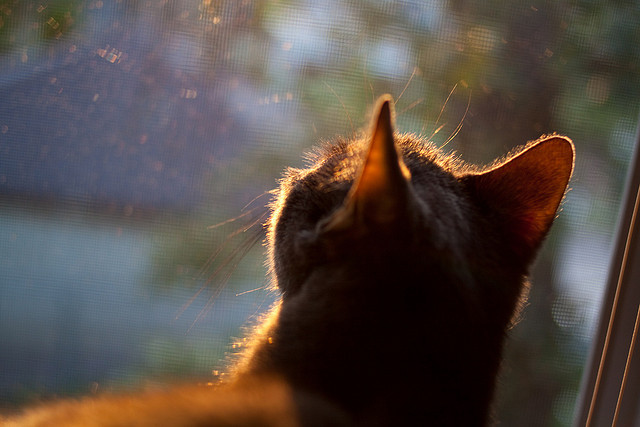 开云体育APP下载-基米希爆发助阵，新西兰场地强行终结多特蒙德季前赛不败神话