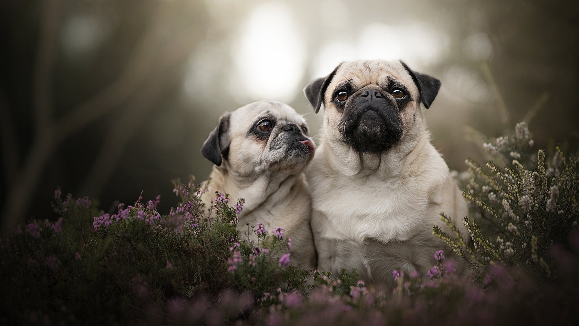 开云体育登录-数据风暴眼的中心，加维如何用全面爆炸的表现，重新定义中场艺术
