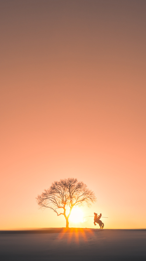 开云体育官网-NBA季后赛之夜，恩比德的毁灭美学，现代中锋的唯一性与宿命