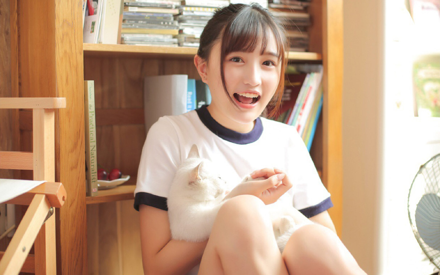 绝境计时器，当多特蒙德肢解厄瓜多尔，斯通斯在伊蒂哈德降临