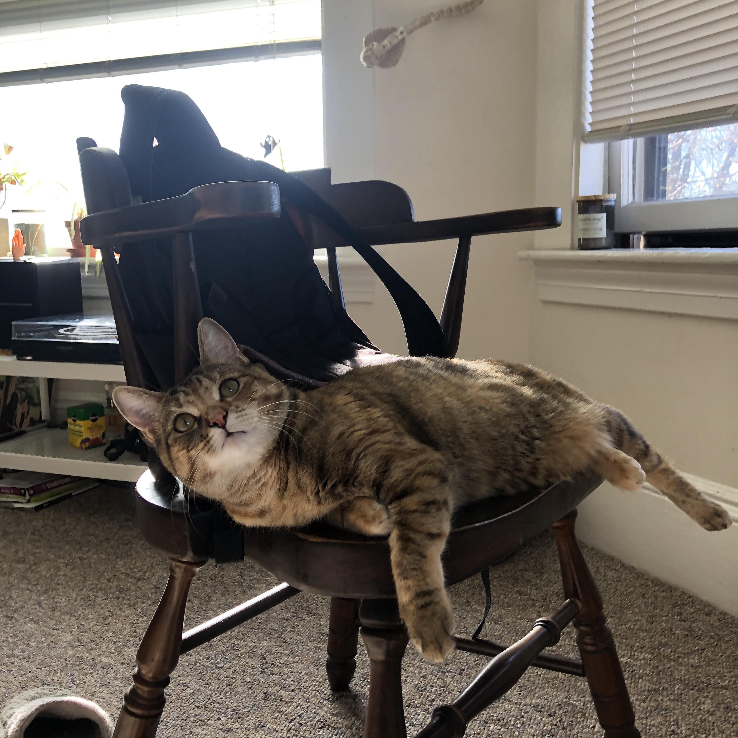 开云体育-骑士突围圣城，独行侠单节风暴改写西部命运交响曲