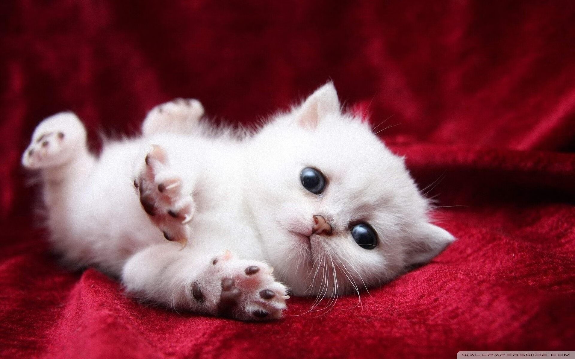 坎特封神之战！丹麦单节暴走击溃巴萨，全场最佳毫无争议