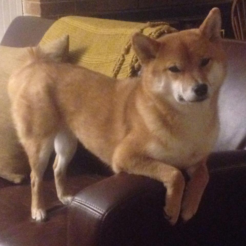 开云体育中国-奥运前哨战与重建棋盘的交锋，奇才加时险胜背后的微观战役与宏观棋局