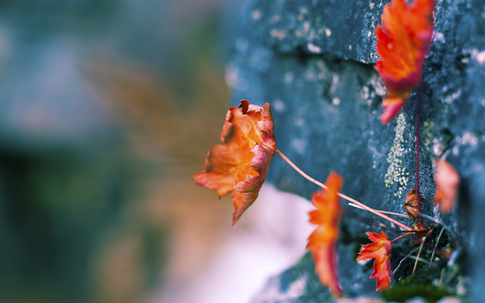 看到您的要求了。一篇好的文章需要一个既抓人眼球又能统领全文的标题。这里有几个不同角度的扩展标题供您选择