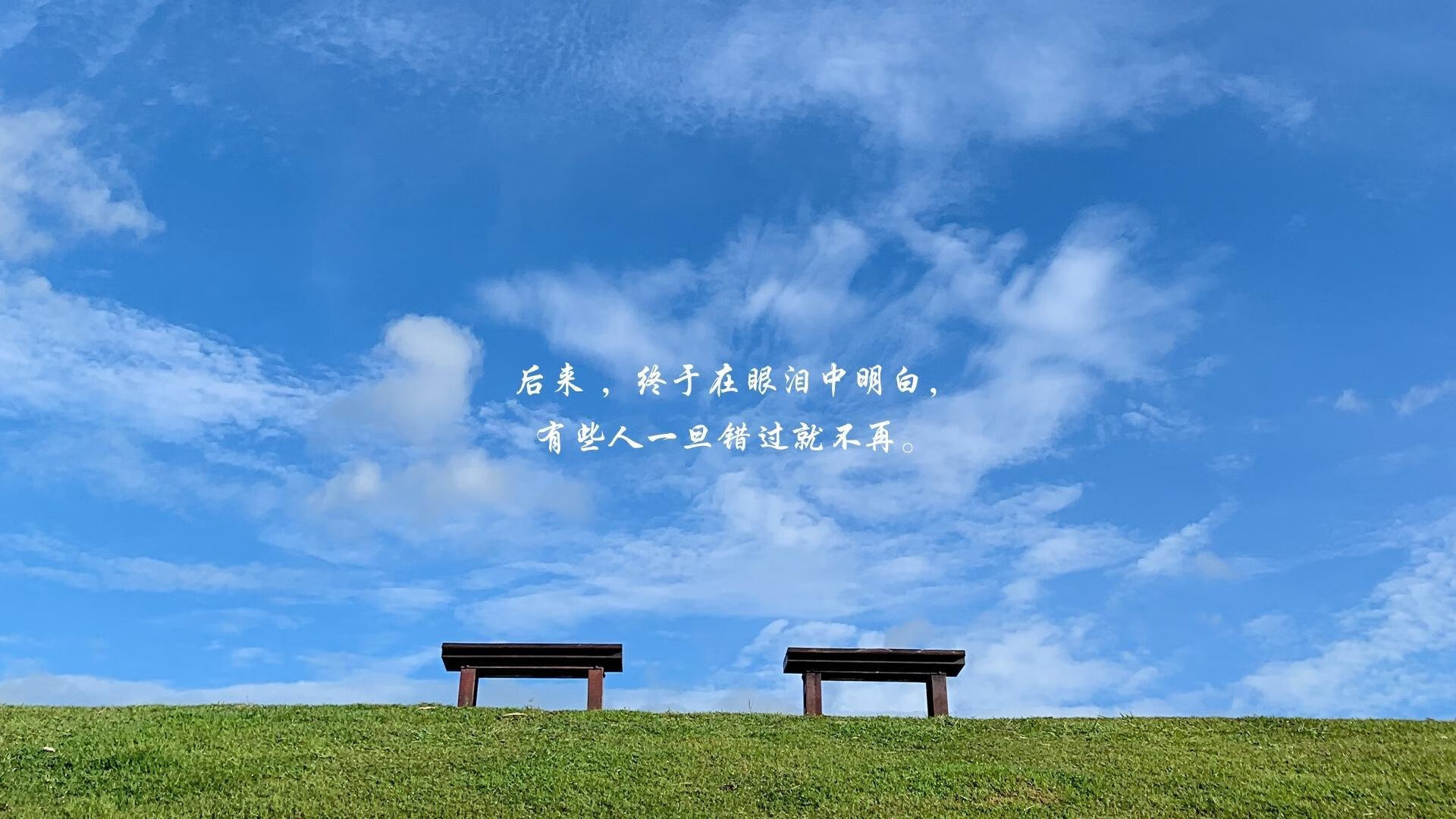 2026世界杯D组生死时速,韩国绝杀日本,穆西亚拉领衔德国战车,防守反击成为破局密码
