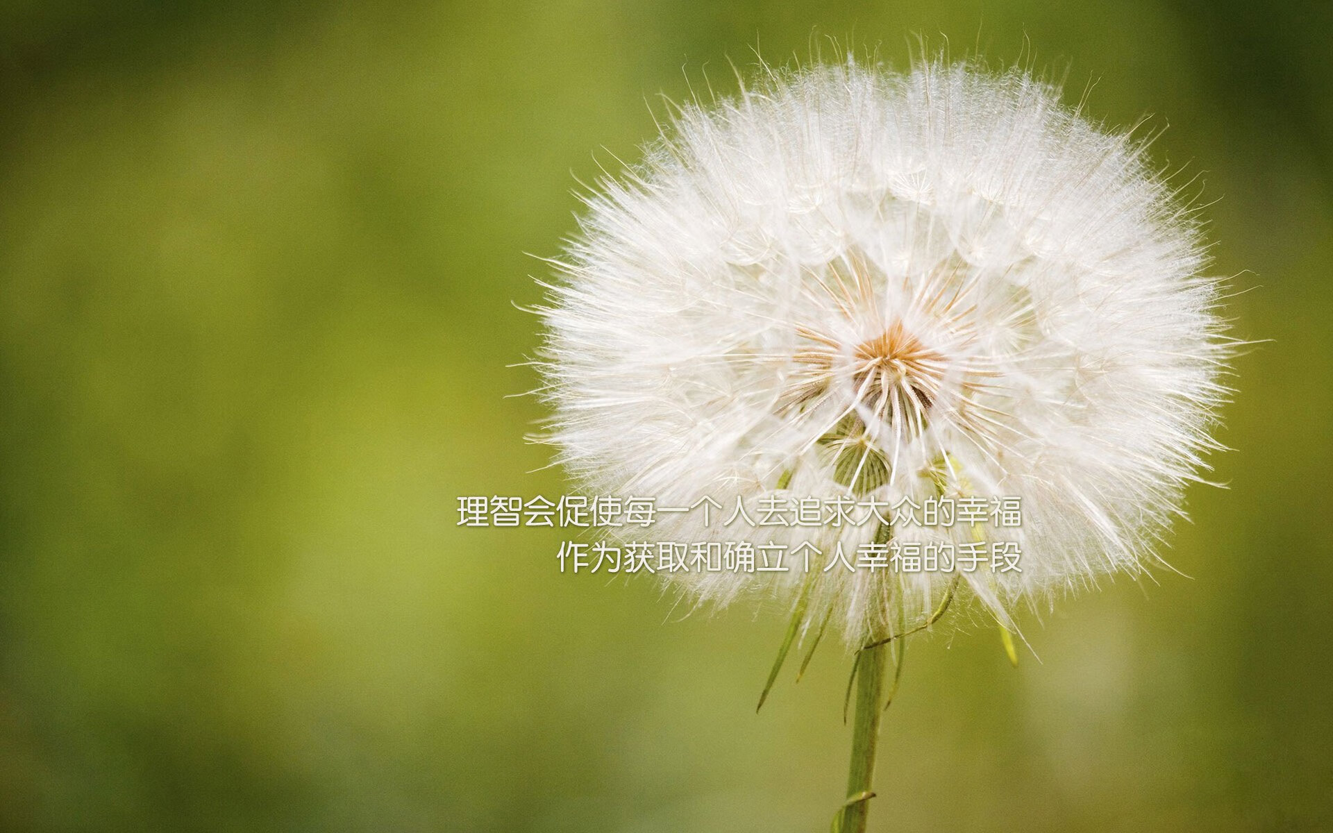 开云体育官网-当冷门撞上神话，2026世界杯的唯一性，是芬兰的冰风暴扫平亚洲，还是尼日利亚的雄鹰撕碎巴西？
