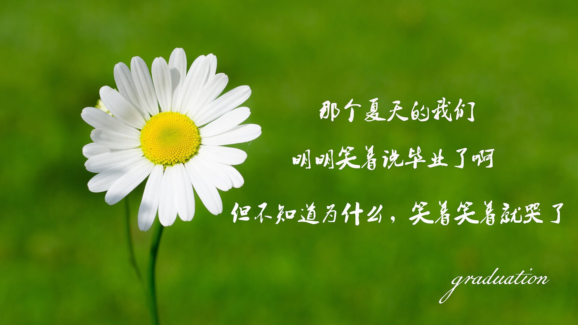 斗牛士的铁蹄与潘帕斯之王的绝唱,2026世界杯D组,一场碾压与新王登基的叙事交响